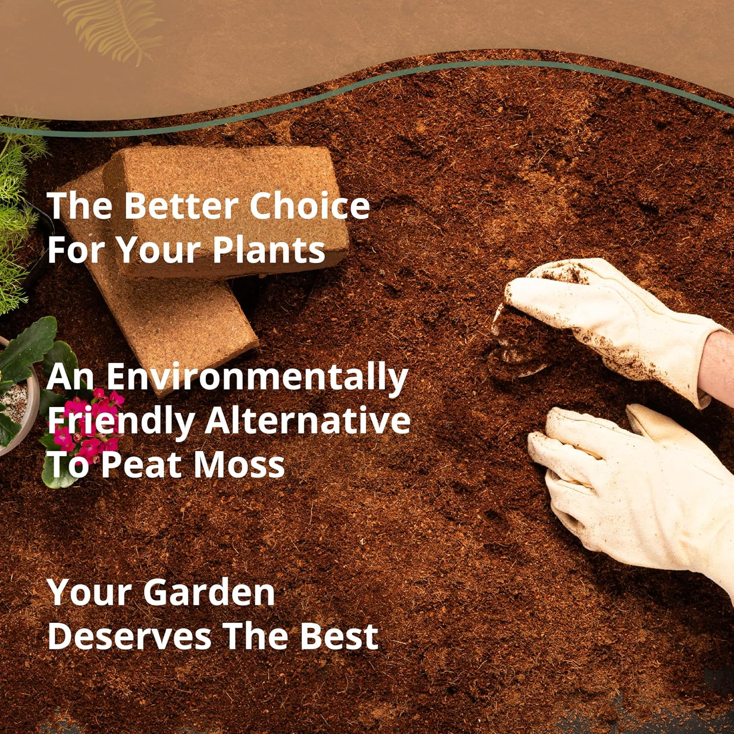 Mycorrhizal Inoculant Powder with Coco Coir Bricks B630934