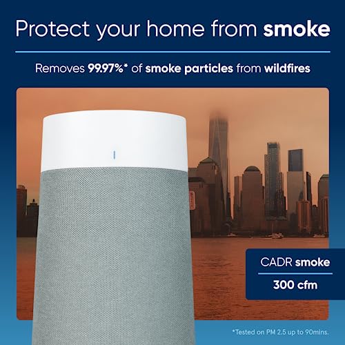 Air Purifier for Small Room, Bedroom, Home, Cleans 926 sqft in One Hour, HEPASilent for Pets, Allergens, Dust, Mold, Smoke Q80338