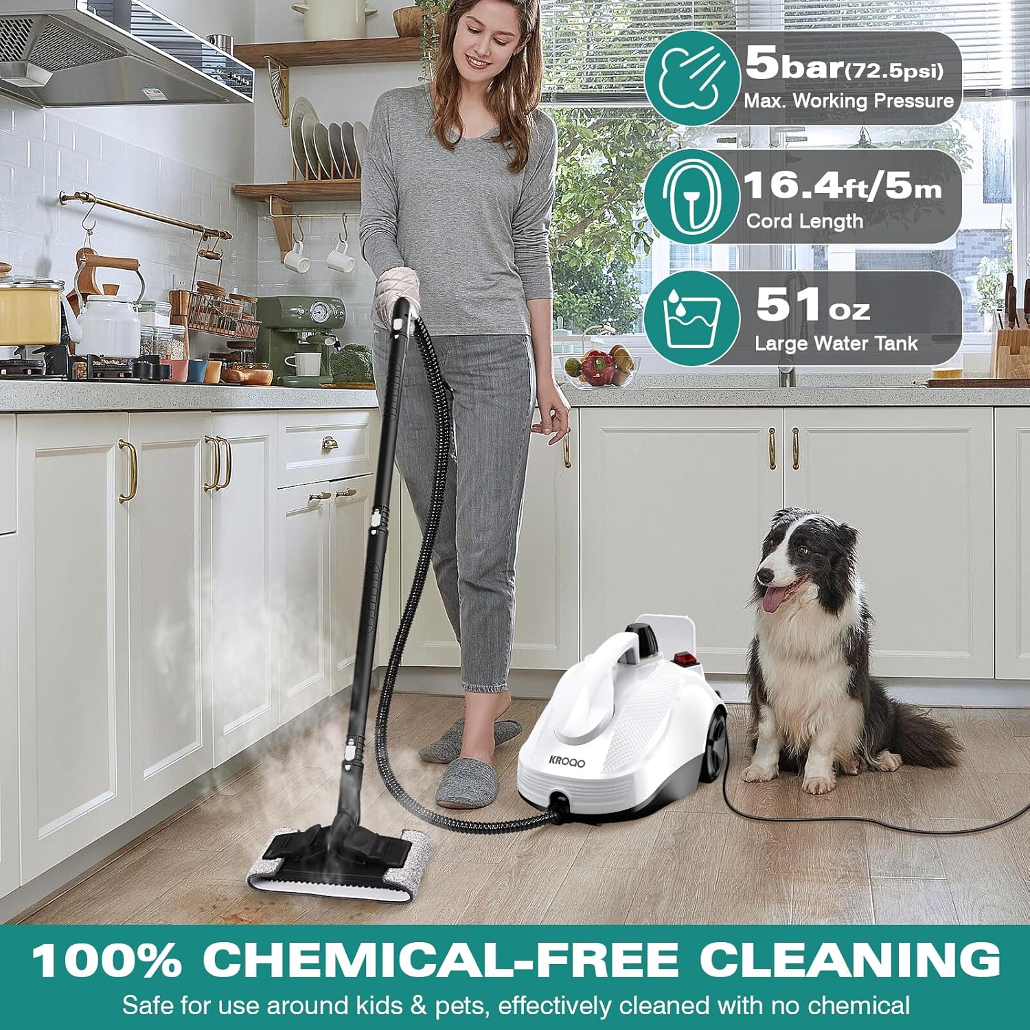 Steam Mop with 23 Accessories, Portable Steamer for Multi-Surface Floors L592