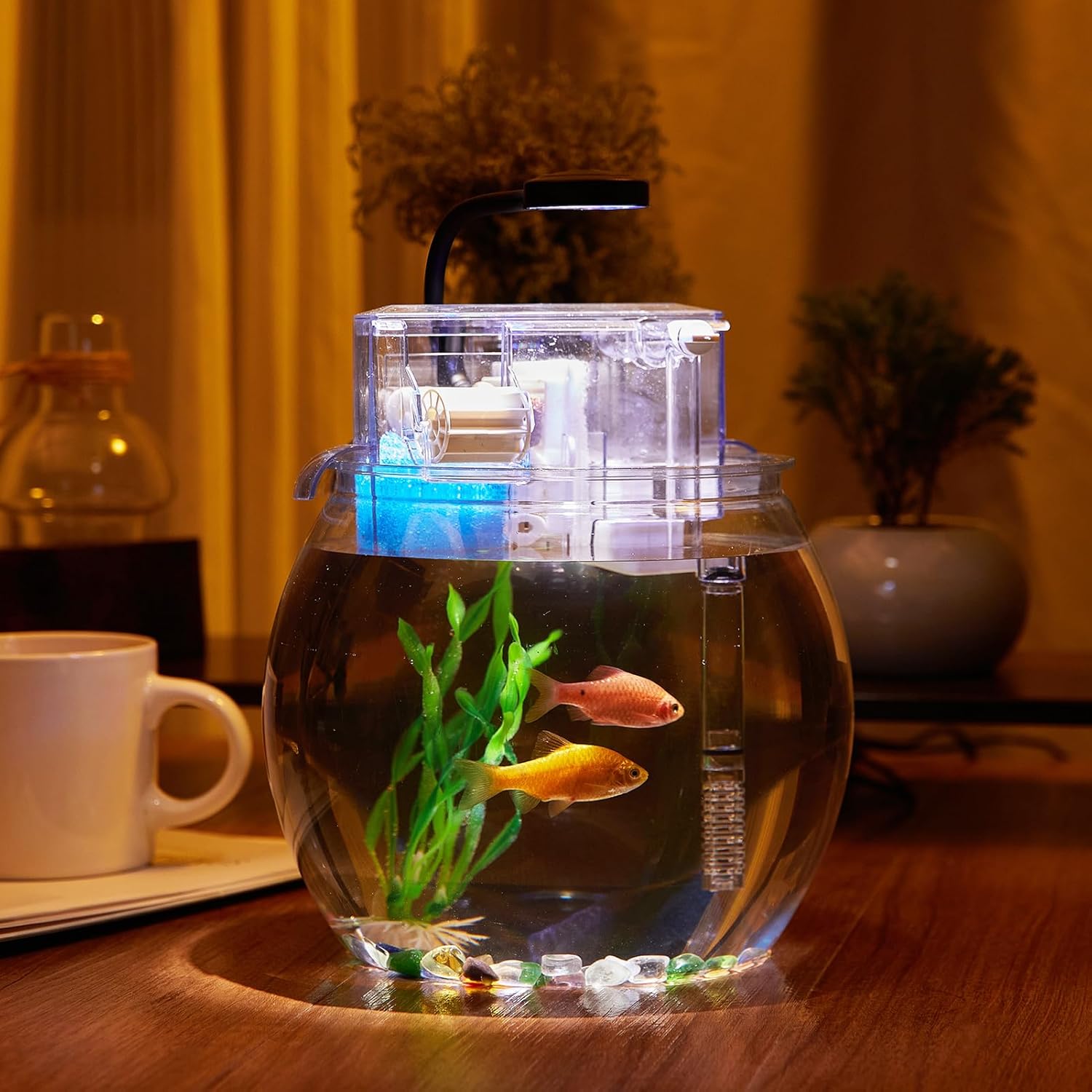 1 Gallon Small Fish Tank with Filter and Light J77063