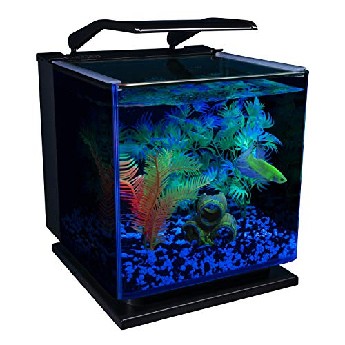 Betta Shadowbox Aquarium Kit L72938