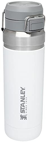 Insulated Stainless Steel Water Bottle 36 oz with Push Button Lid P799245