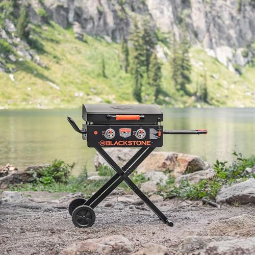 22" Scissor-Leg Gas Griddle with Two Burners, Stainless Steel, Wheels and Side Shelf W2452