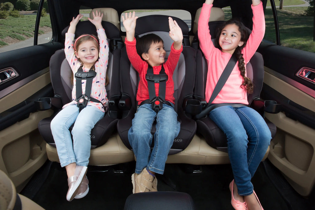 2-in-1 Booster Car Seat, Sweetberry T115866