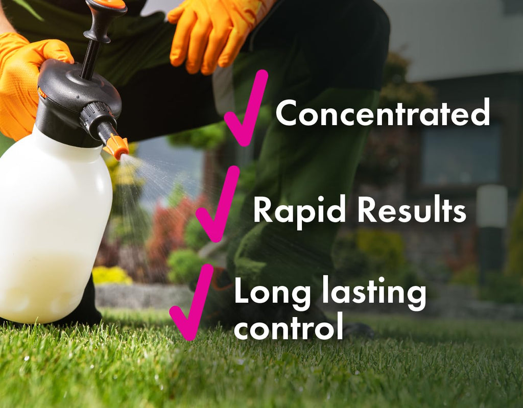 Crabgrass & Grassy Weed Killer Concentrate, 64 oz R19697