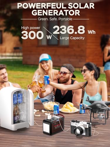 Portable Power Station 88Wh Camping Lithium Battery Solar Generator Fast Charging with AC Outlet N28722