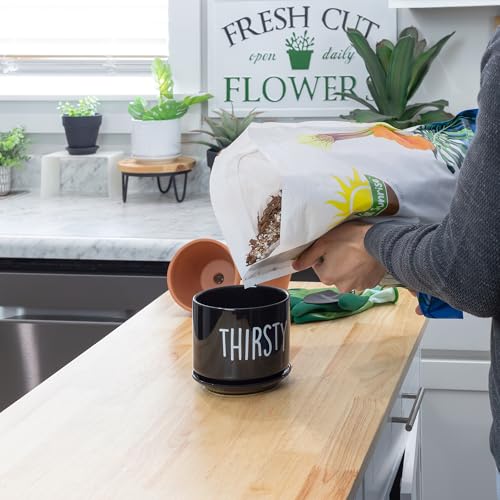 Cactus and Succulent Potting Mix, Fast Draining I9227