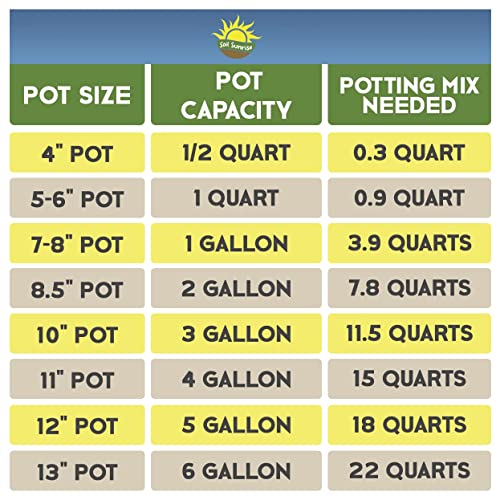 Cactus and Succulent Potting Mix, Fast Draining I9227