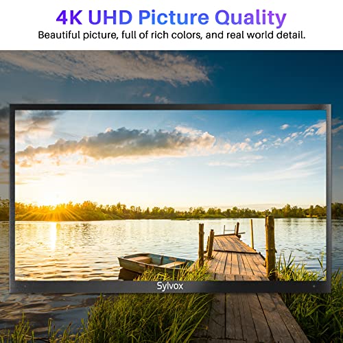 55 inch Outdoor Smart TV, 4K Weatherproof Television for Outside I326