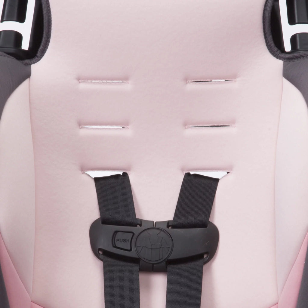 2-in-1 Booster Car Seat, Sweetberry T115866