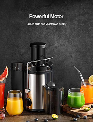 Juicer Machine, 800W Centrifugal Extractor with Wide Mouth Feed Chute, Stainless Steel, BPA-free Y425329