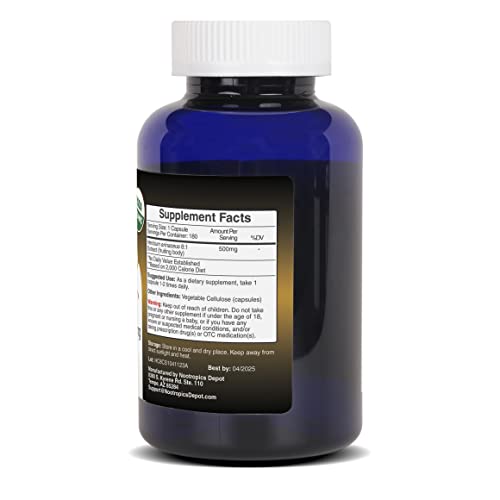 Lion's Mane Mushroom Capsules 8:1 Dual Extract 500mg 60 Count R966