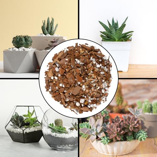 Cactus and Succulent Potting Mix, Fast Draining I9227