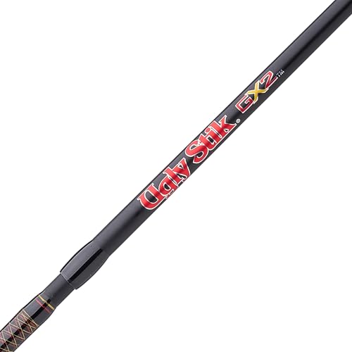 Baitcast Reel and Fishing Rod Combo A256