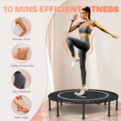 Foldable Mini Trampoline for Adults, 40/48 Inch Indoor Exercise Rebounder N9596