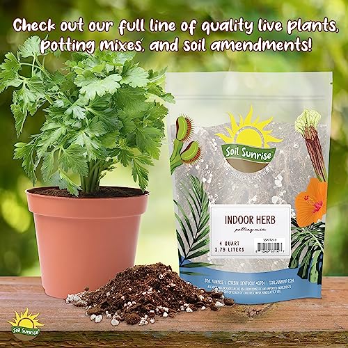 Cactus and Succulent Potting Mix, Fast Draining I9227