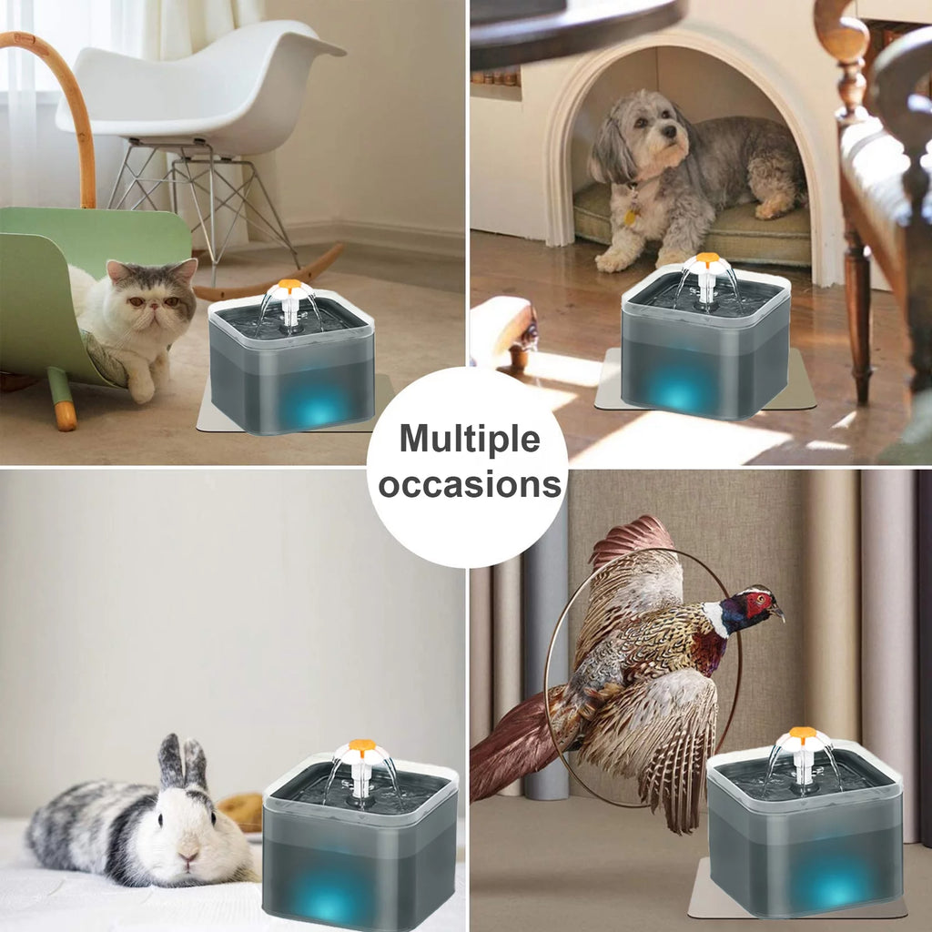 Cat Water Fountain 2L with Replacement Filters, Quiet Pump, Black Z925082