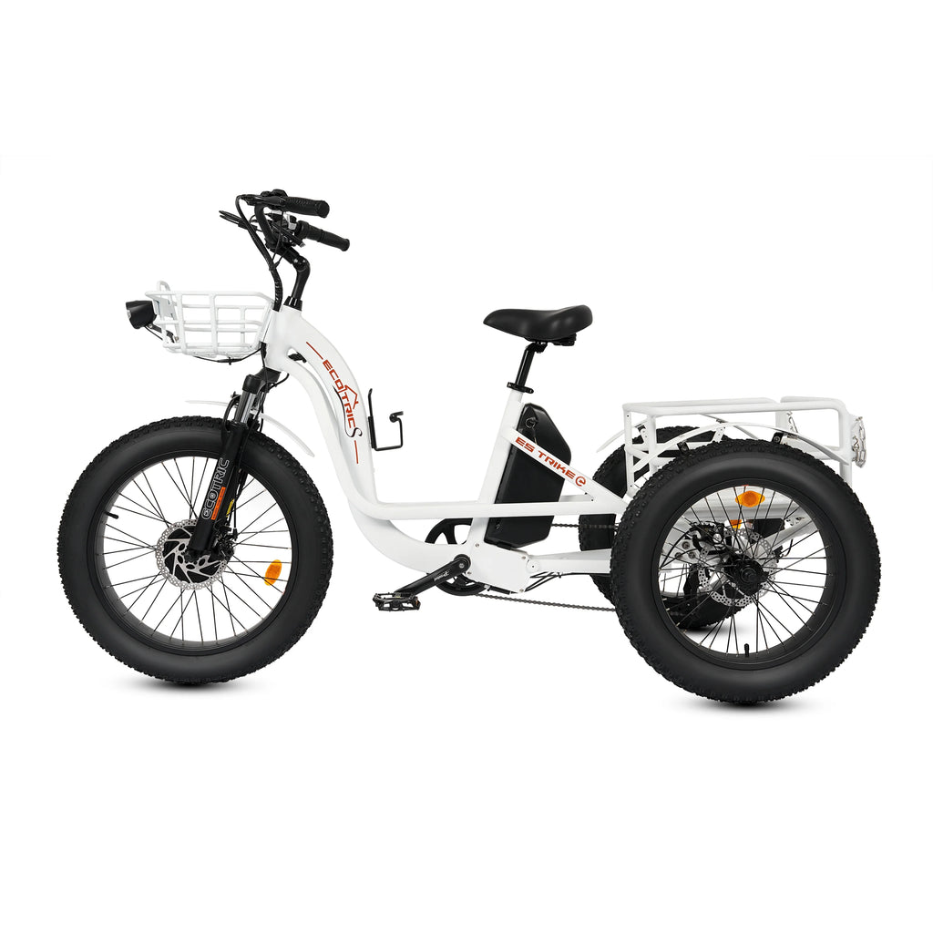 Electric Tricycle for Adults with Basket, 750W 48V, 3-Wheel Step-Thru H8104