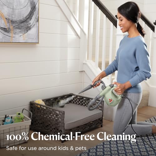Handheld pressurized steamer with 10 cleaning tools H1381