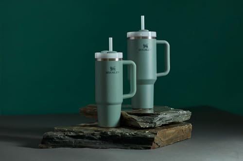 Insulated Stainless Steel Tumbler with Straw 30 oz P520