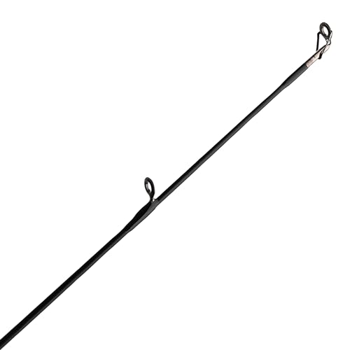 Baitcast Reel and Fishing Rod Combo V600313