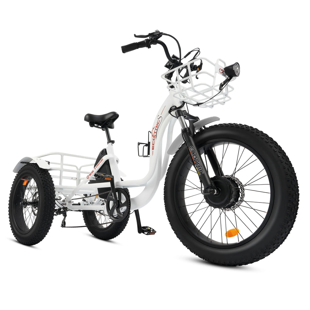 Electric Tricycle for Adults with Basket, 750W 48V, 3-Wheel Step-Thru H8104
