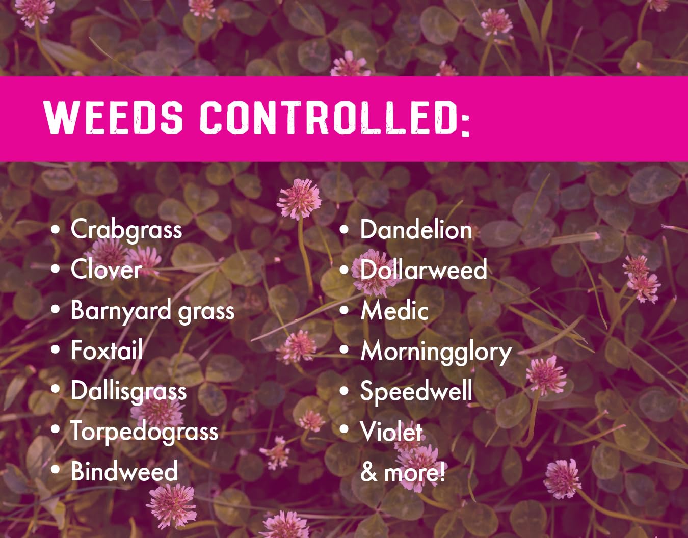 Crabgrass & Grassy Weed Killer Concentrate, 64 oz R19697