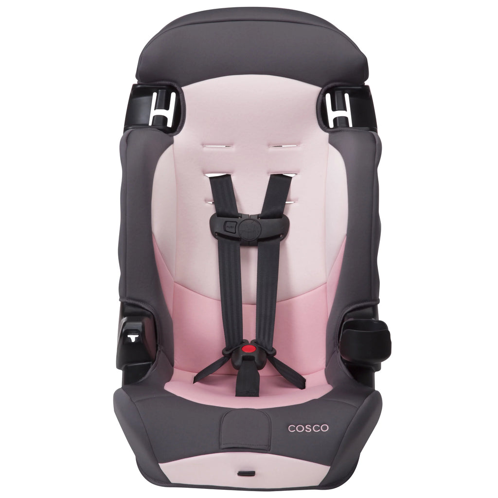 2-in-1 Booster Car Seat, Sweetberry T115866
