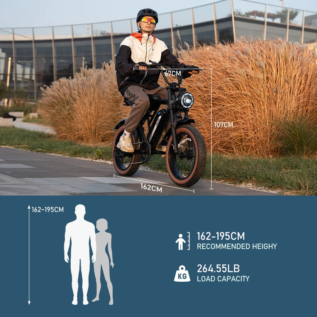 750W Electric Bike for Adults, 48V 15Ah Removable Battery, 20" Fat Tire Mountain Bicycle Q958