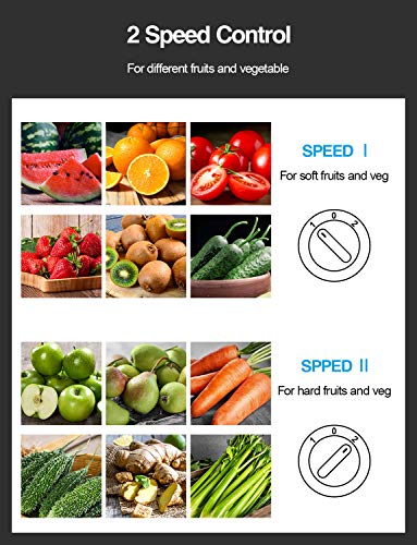 Juicer Machine, 800W Centrifugal Extractor with Wide Mouth Feed Chute, Stainless Steel, BPA-free Y425329
