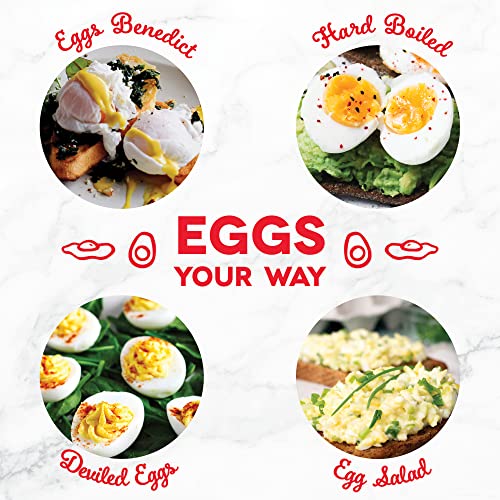 6 Egg Capacity Electric Egg Cooker with Auto Shut Off - Black U471