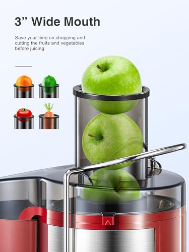 Juicer Machine, 800W Centrifugal Extractor with Wide Mouth Feed Chute, Stainless Steel, BPA-free Y425329