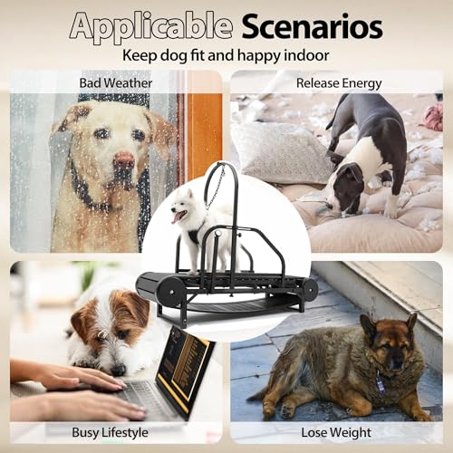 Dog Treadmill with Step Counter, Adjustable Incline & Brake, Indoor and Outdoor, Supports Up to 300 lbs W851