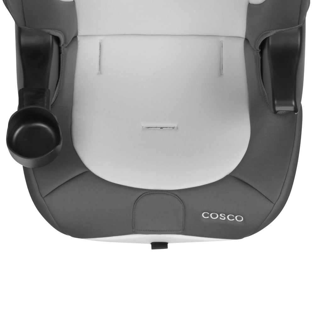 2-in-1 Booster Car Seat, Sweetberry T115866