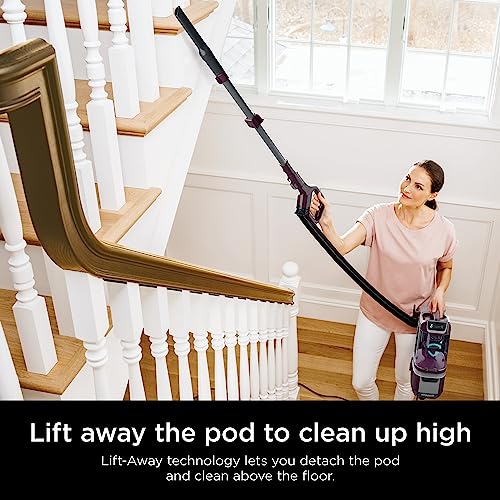 Upright Vacuum Cleaner for Home, Lightweight Bagless, HEPA Filter A60818