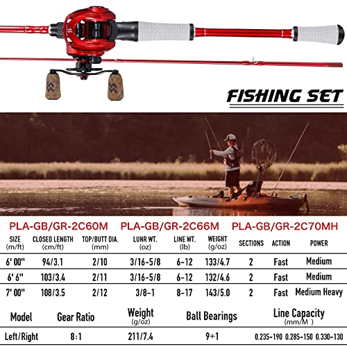Fishing Rod and Reel Combo, Spinning and Baitcasting Pole with Graphite Blanks O8586