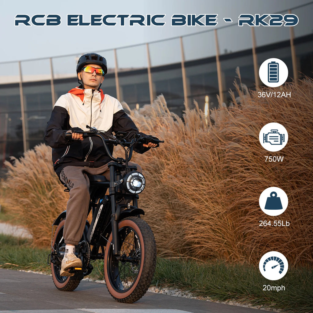 750W Electric Bike for Adults, 48V 15Ah Removable Battery, 20" Fat Tire Mountain Bicycle Q958
