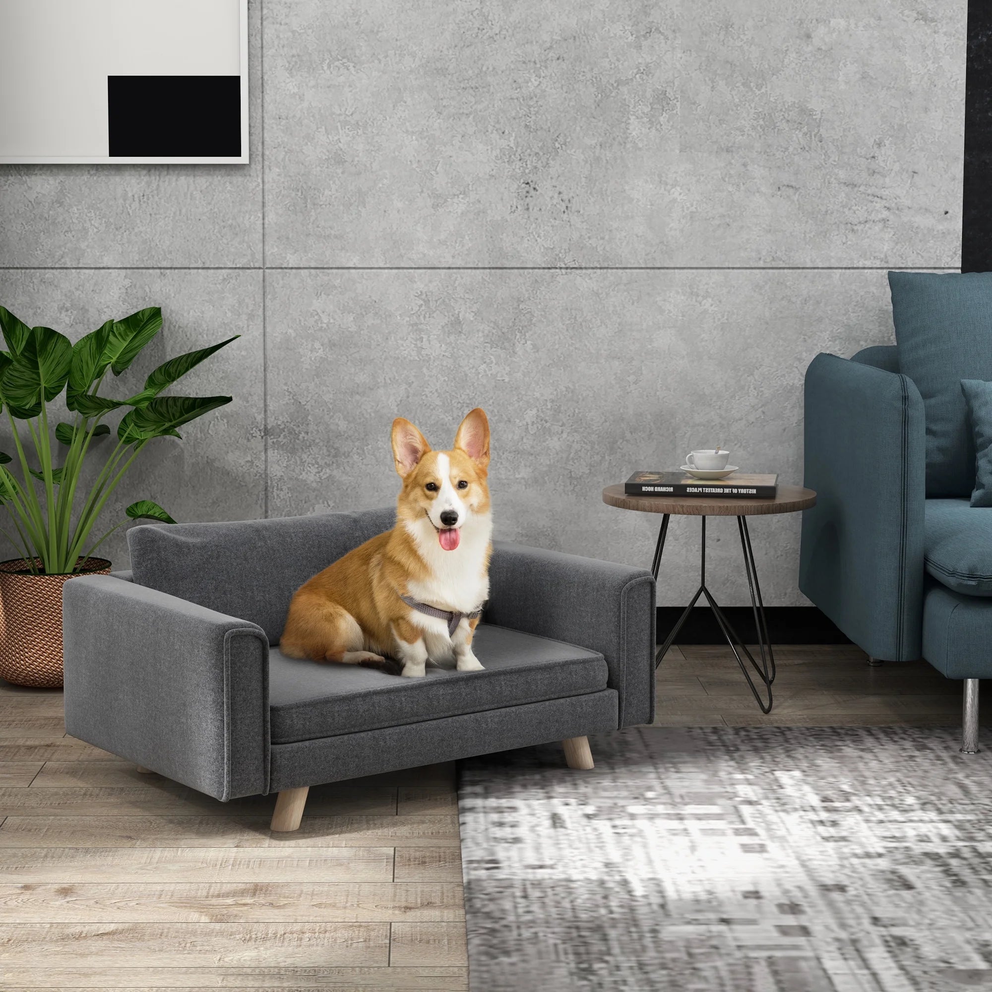 Raised Dog Sofa for Small and Medium Dogs, Gray M25944