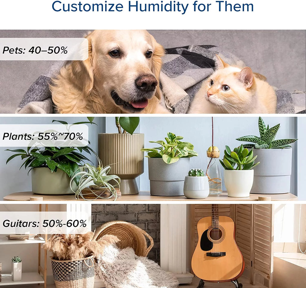 Warm and Cool Mist Humidifier, 6L, 753 sq ft E9452