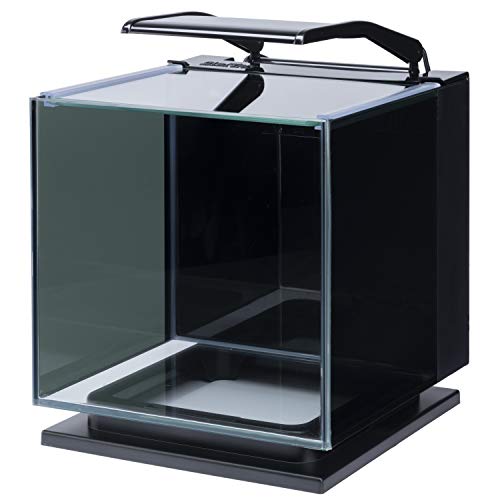 Betta Shadowbox Aquarium Kit L72938