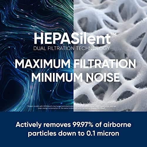 Air Purifier for Small Room, Bedroom, Home, Cleans 926 sqft in One Hour, HEPASilent for Pets, Allergens, Dust, Mold, Smoke Q80338