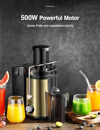 Juicer Machine, 800W Centrifugal Extractor with Wide Mouth Feed Chute, Stainless Steel, BPA-free Y425329