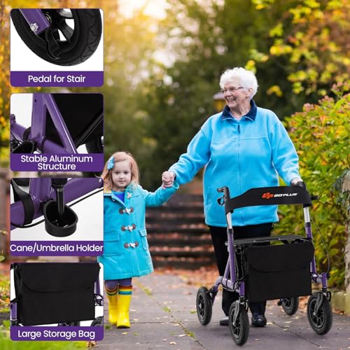 Rollator Walker for Seniors with Seat, Foldable, All Terrain Pneumatic Wheels G204121