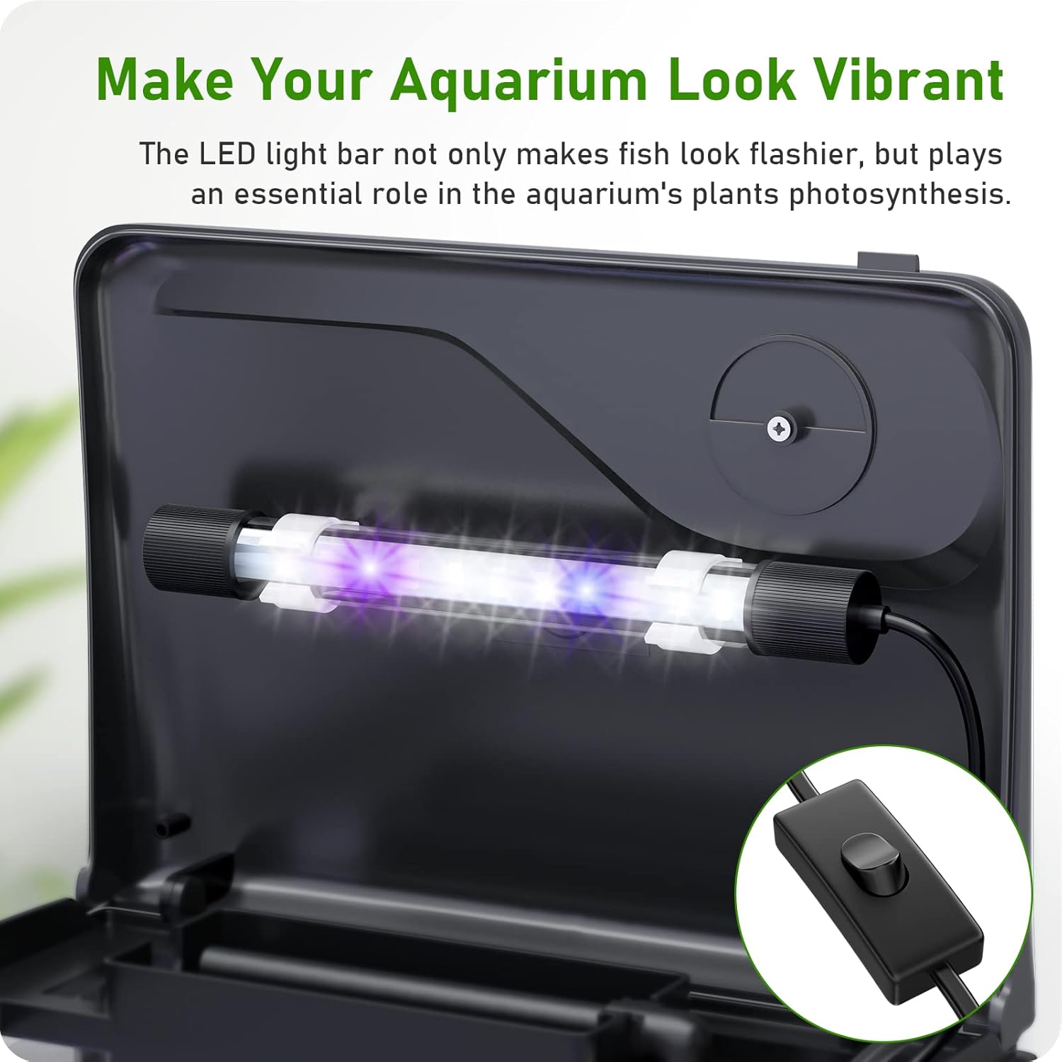 2 Gallon Glass Fish Tank with Filter and Light D832