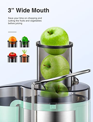 Juicer Machine, 800W Centrifugal Extractor with Wide Mouth Feed Chute, Stainless Steel, BPA-free Y425329