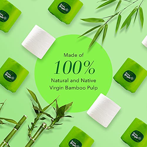 Bamboo Toilet Paper 2-Ply with Kitchen Towel, 24 Rolls X314488