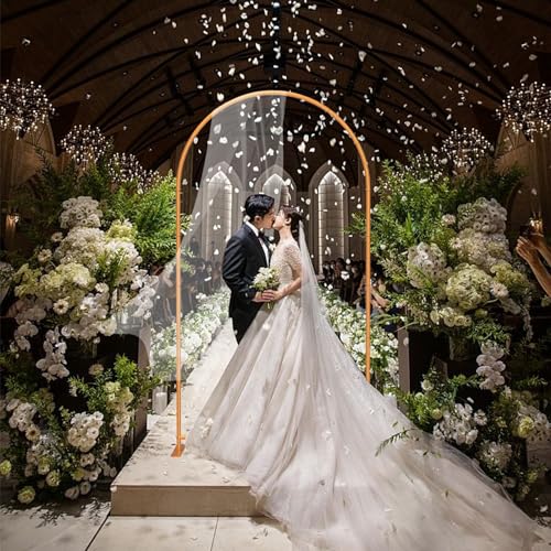 Metal Arch Backdrop Stand for Party Wedding Decoration W986