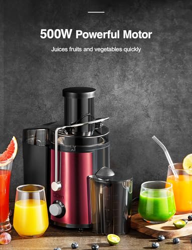 Juicer Machine, 800W Centrifugal Extractor with Wide Mouth Feed Chute, Stainless Steel, BPA-free Y425329