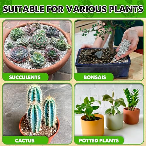 Horticultural Pumice for Plants Indoor, Soil Additive for Bonsai, Succulent, Cactus, 1/4" - 3/8", 2 QT N416