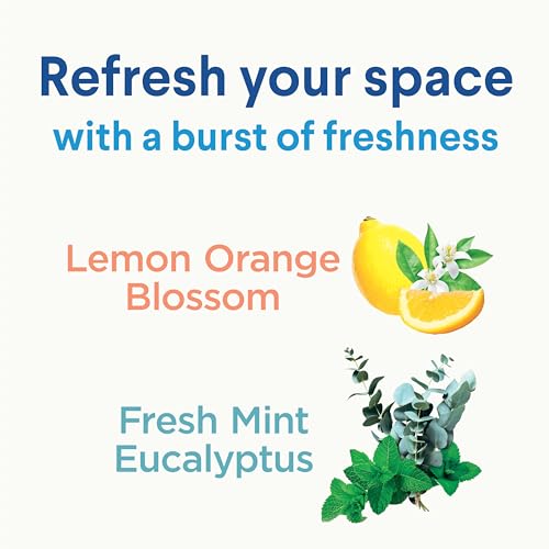 Disinfecting Mist, Lemon and Orange Blossom, 2-Pack Spray Bottle and Refill D492